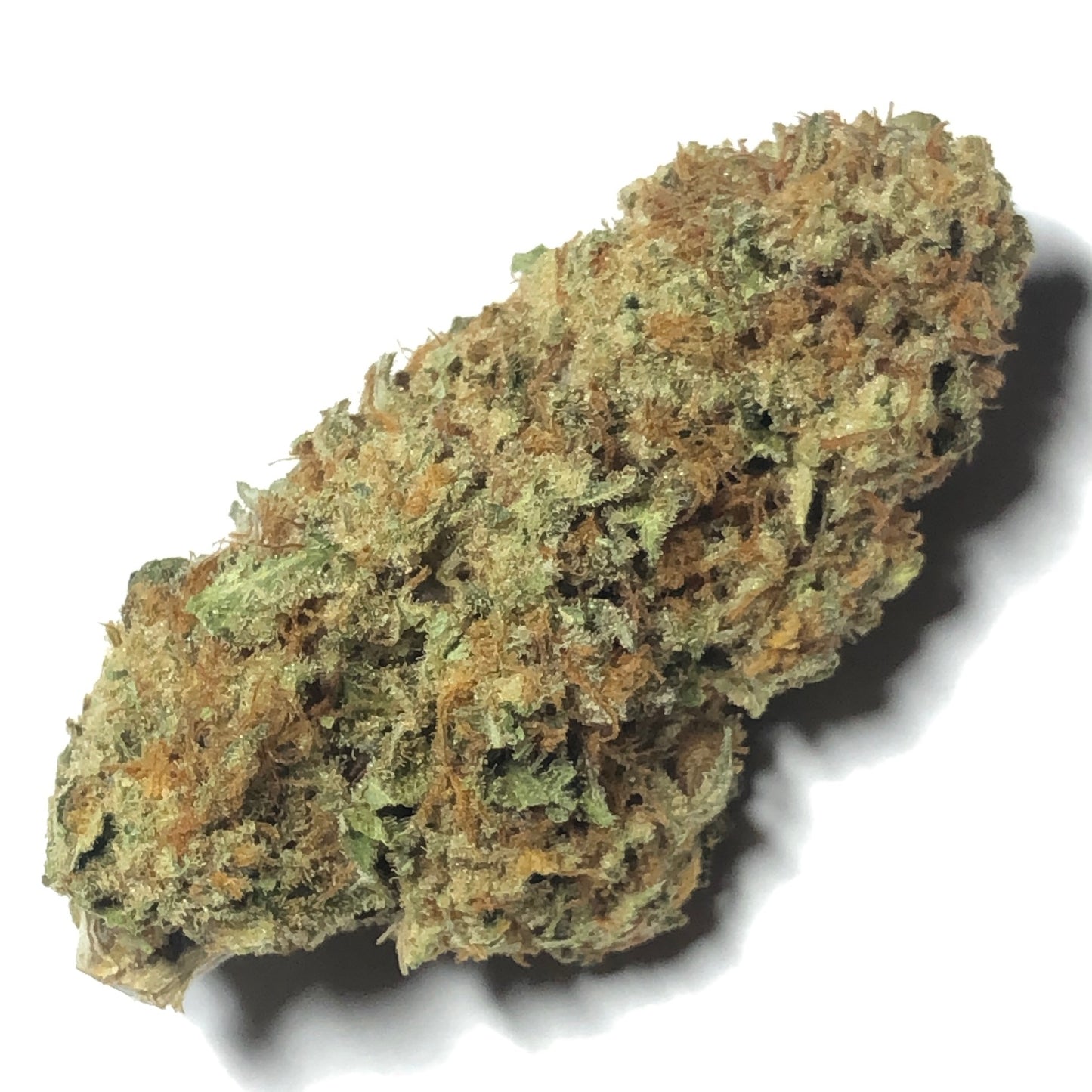 Giacca corta ecopelliccia Mongolia